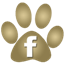 rund um hund auf facebook