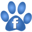 rund um hund auf facebook