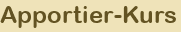 Apportier-Kurs