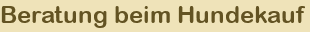 Beratung beim Hundekauf