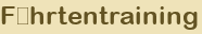 F�hrtentraining