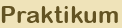 Praktikum