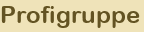 Profigruppe