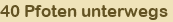 40 Pfoten unterwegs